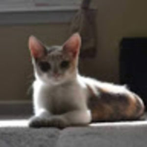 Meet your Posher, Kensie